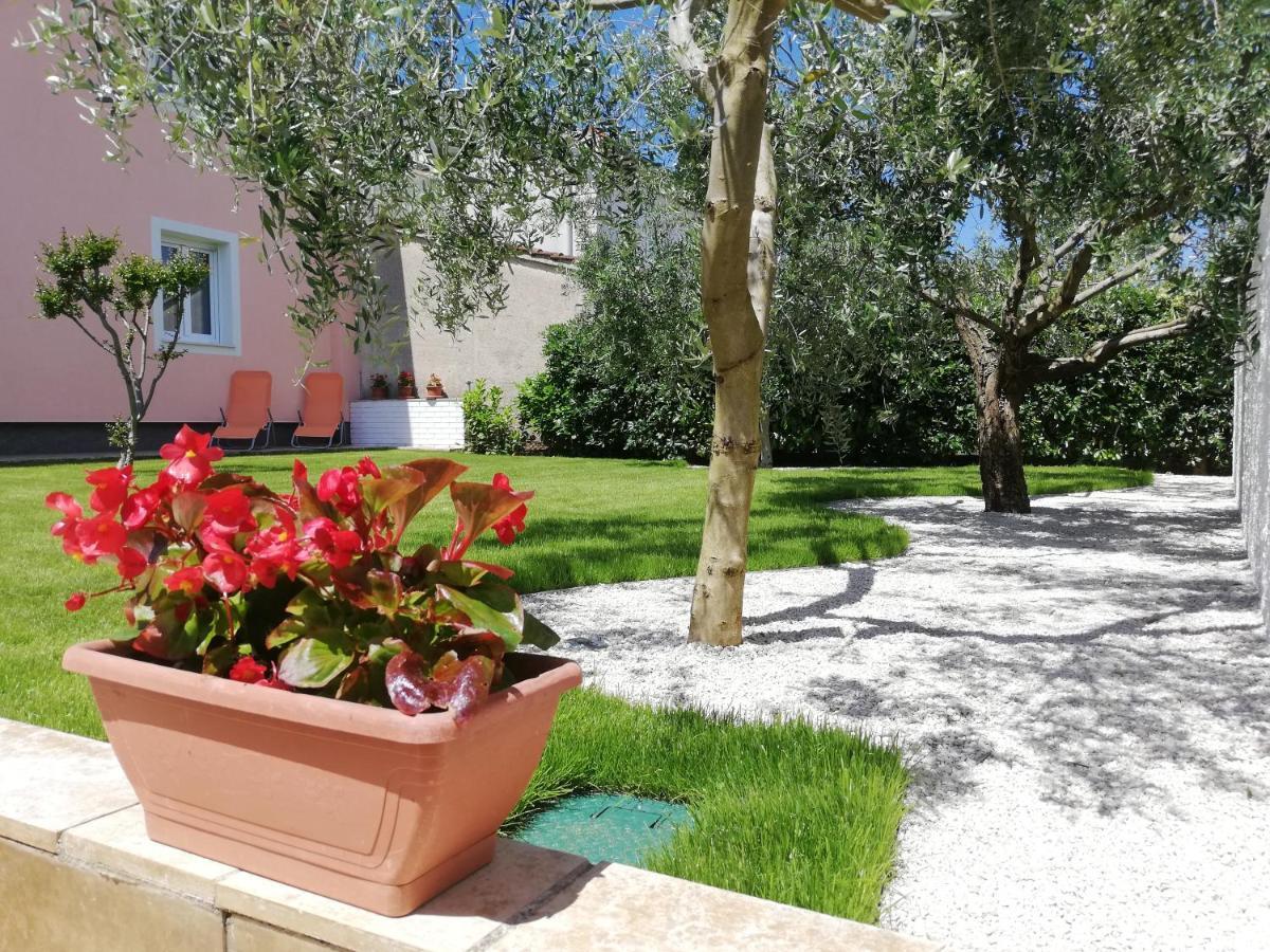 Apartament Prodan