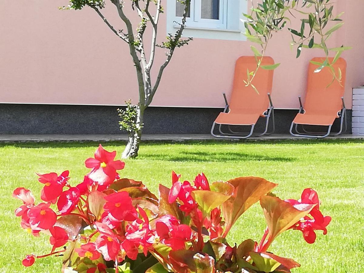 Apartment Prodan *